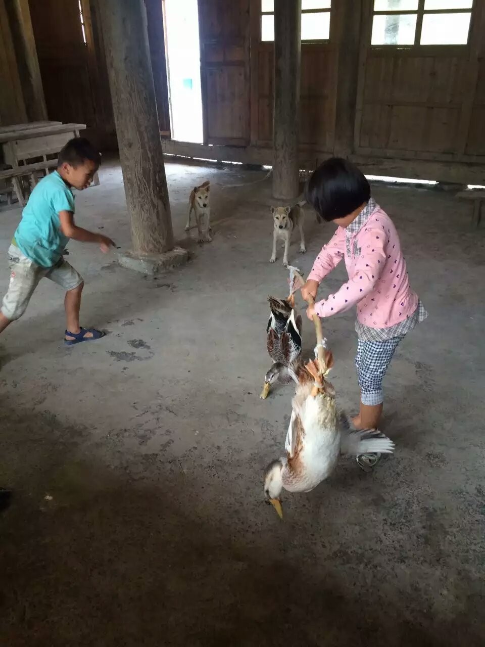 活法｜最好的*眠药安**，就是伸手不见五指