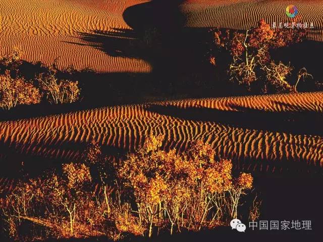 寻找一抹秋色,寻找不一样的质感