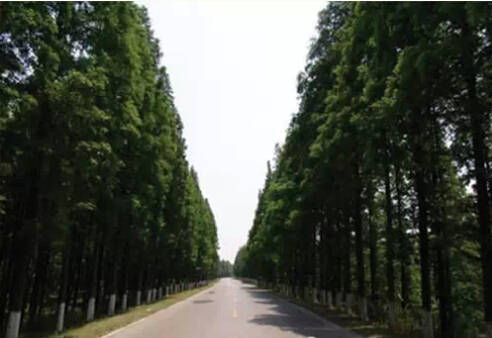 26个英文字母带你看懂我们大如东!