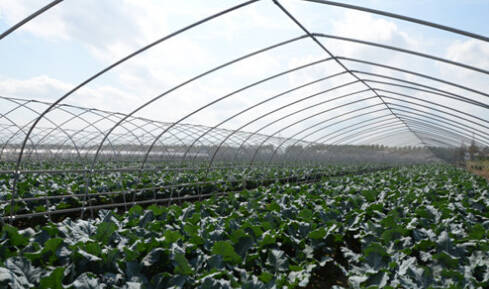 26个英文字母带你看懂我们大如东!