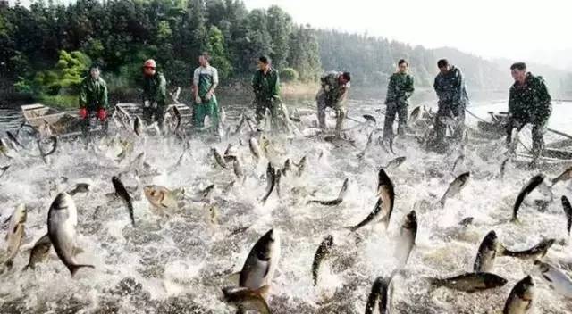 江西最美自驾线路推荐,江西自驾5条最佳线路图