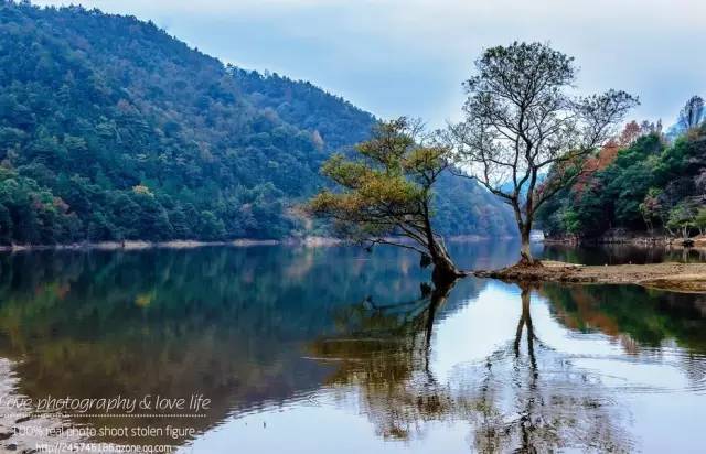 江西最美自驾线路推荐,江西自驾5条最佳线路图