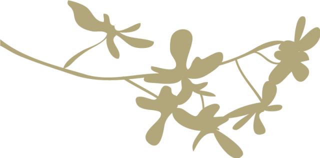 月饼怎么吃才不会发胖,吃月饼居然有这么多学问