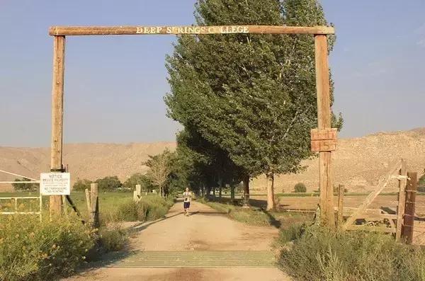 美国深泉学院的真相,深泉学院口碑怎么样