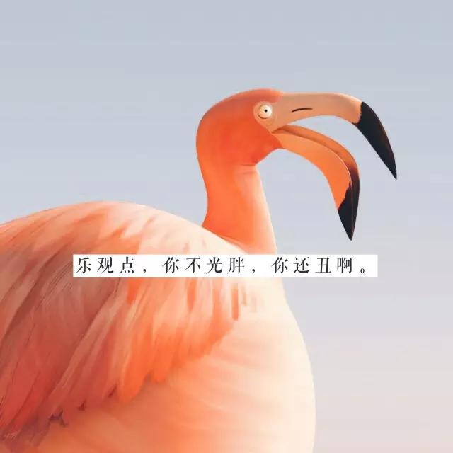 高圆圆吃素么,高圆圆减肥吃桃仁