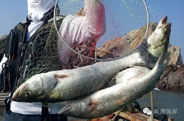 深澳有一种鱼丸，自带小说