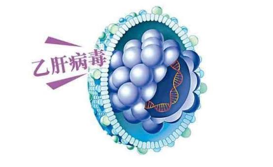 拉米夫定是乙肝抗病毒一线药吗,拉米夫定片可以预防乙肝么