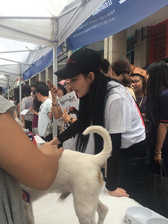 馨予出席宠物领养日很有爱,为何却被网友吐槽!