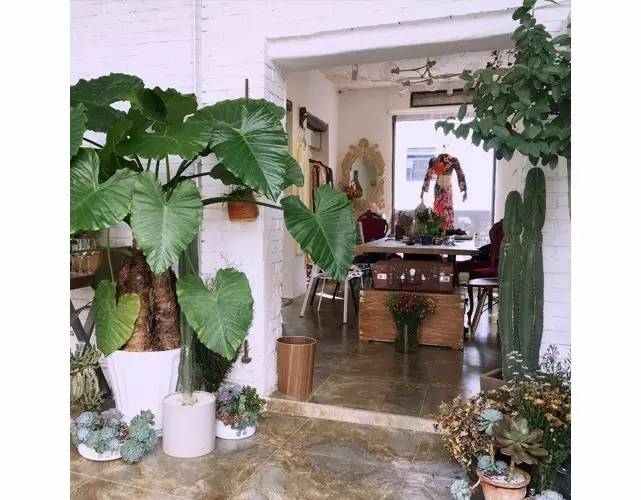 探店|昆明火遍圈内的vintage店，怪老倌坚持了九年