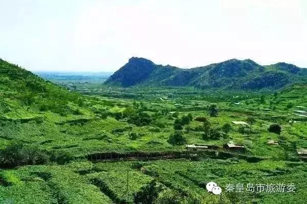 重磅，秦皇岛八个镇“升级”为全国重点镇！快看有没有你的家乡