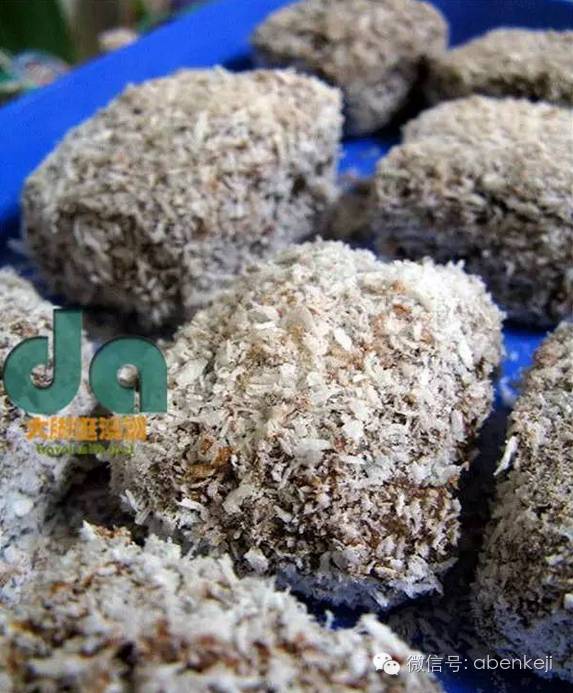 澳洲蜜桔和沃柑,澳洲有名的土特产