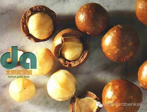 澳洲蜜桔和沃柑,澳洲有名的土特产