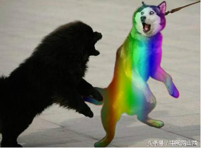 怎么那么多人骗流量,为什么现在有的人骗流量