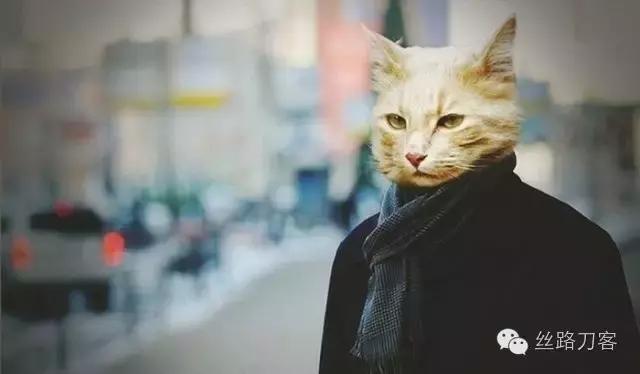 农产品微商,农产品微商有哪些