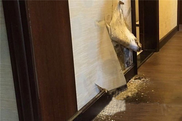 一楼潮湿墙面发霉最佳解决方法,没做防水楼下会渗水吗