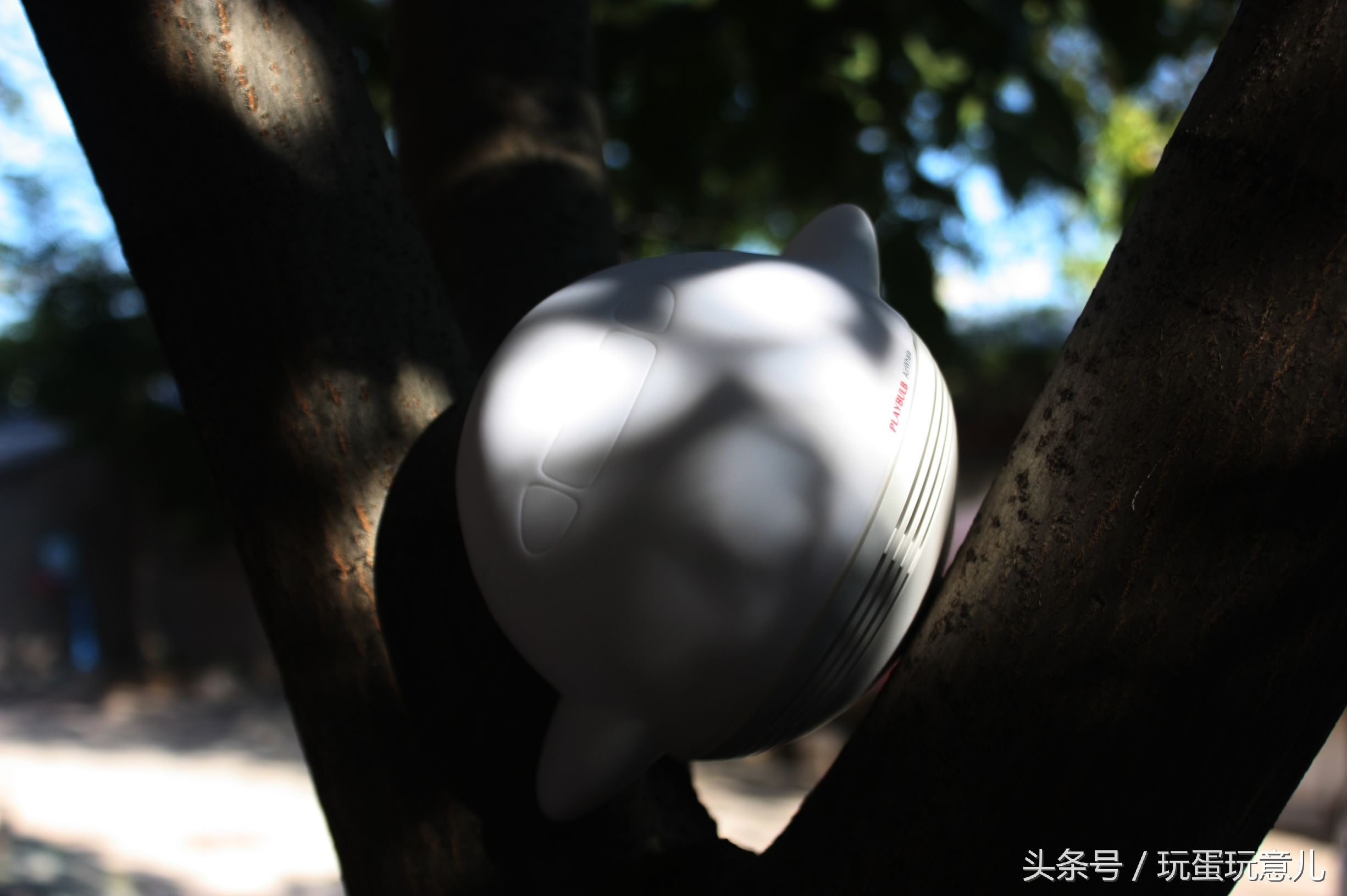 照星爷的话讲，想撩妹吗我教你！AirWhale智能音响灯体验