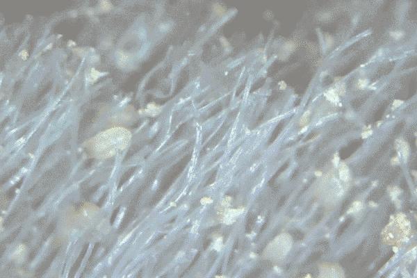 孩子感冒喷嚏打不停还流鼻涕,80天的宝宝感冒咳嗽打喷嚏怎么办