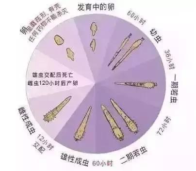 孩子感冒喷嚏打不停还流鼻涕,80天的宝宝感冒咳嗽打喷嚏怎么办