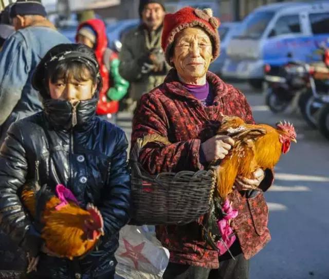 我在葫芦岛,为什么不去北上广的8个理由