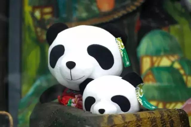 来成都要懂的知识,来成都一定要做的九件事