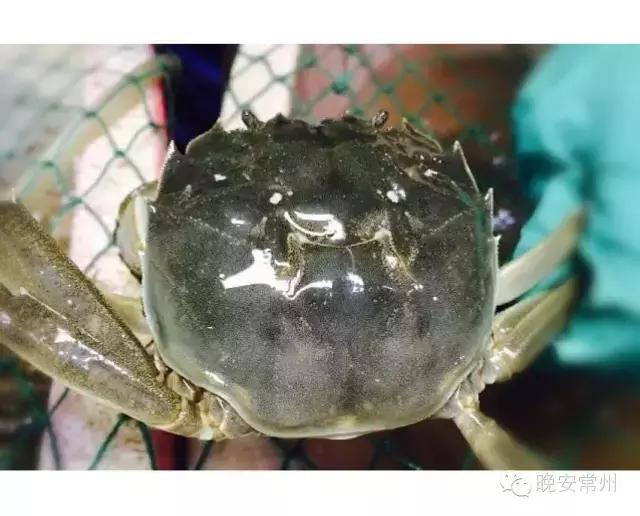 中秋佳节家的味道,中秋家宴视频