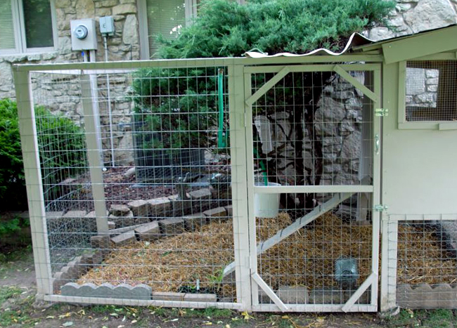 100只小鸡育雏室建造,500只小鸡育雏室搭建