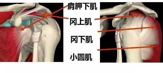 013医院,肩膀病怎么治疗最快最有效