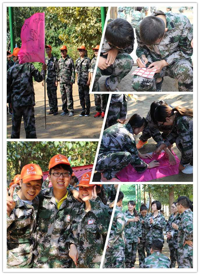 蓝鹰拓展训练营,蓝鸥培训好不好