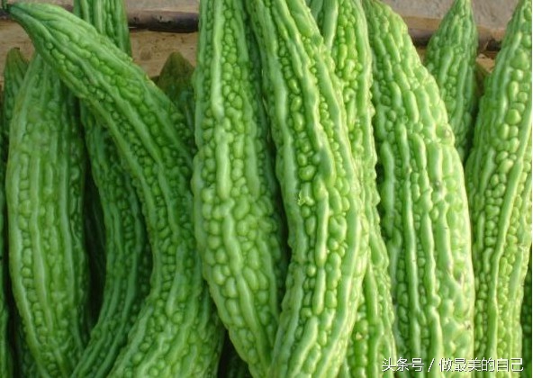 苦瓜你是吃的苦，还是吃的健康呢？