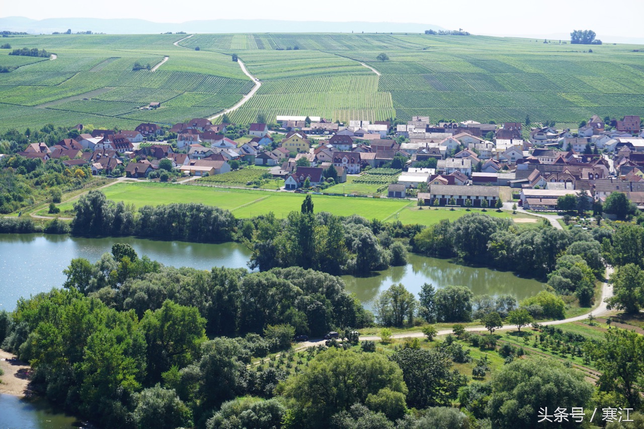 美丽的莱茵河东岸最著名的葡萄酒,法兰肯葡萄酒