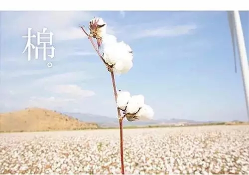 种草|无印良品(MUJI)有哪些东西值得买?哪些想吐槽?