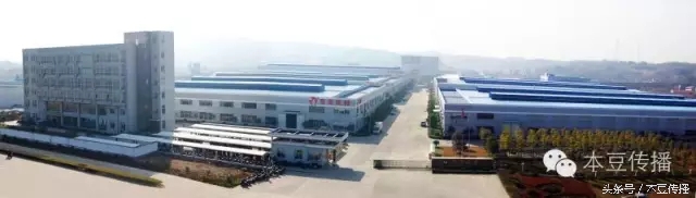 双鸟展翅成就传奇:“浙江双鸟”发展纪实