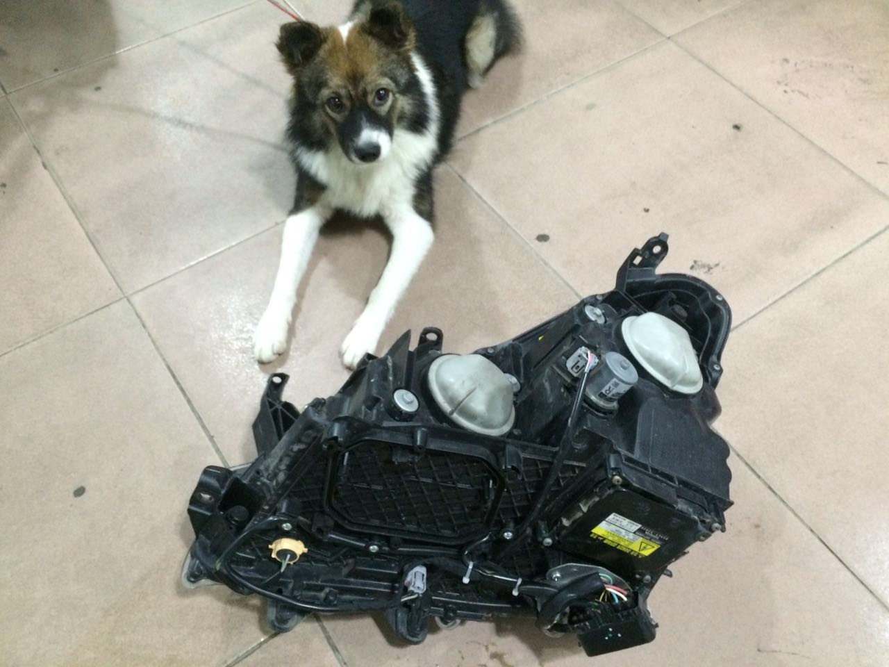 从化皇冠改装,广州从化专业改灯