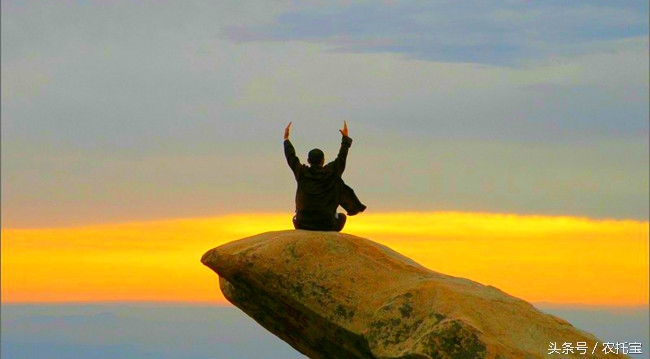 干农业一定要努力吗,干农业你得知道哪些学问