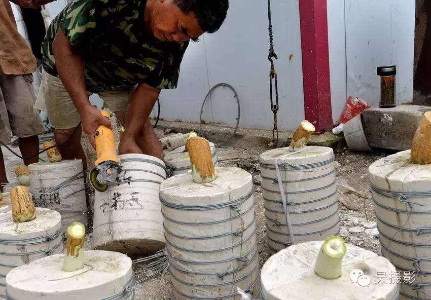 葫芦迷的“八不正瓶”