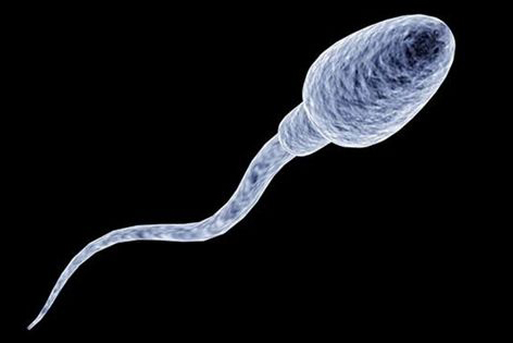 “弟弟”不常用竟然会缩小!男女之间这些事你知道多少?