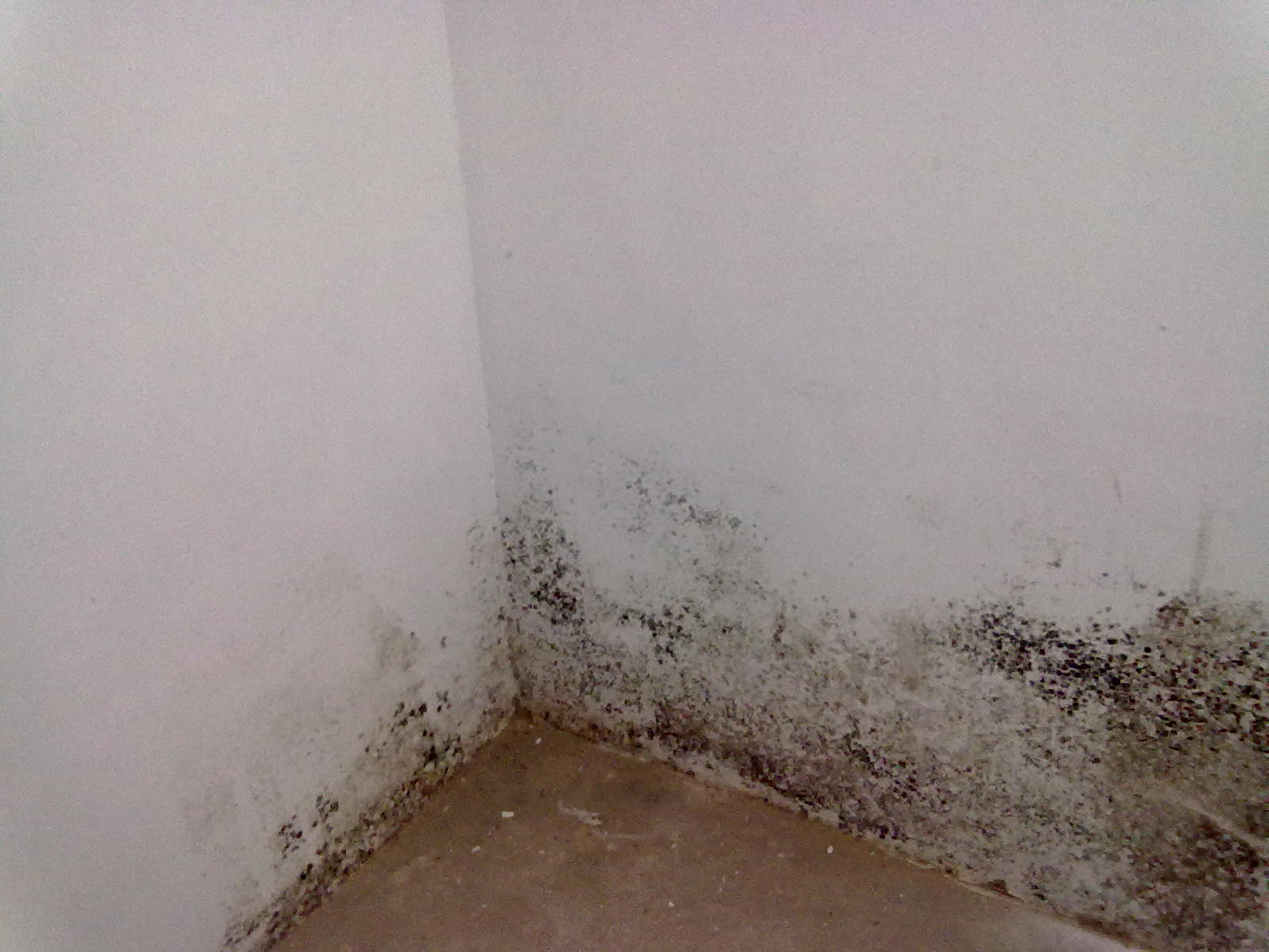 一楼潮湿墙面发霉最佳解决方法,没做防水楼下会渗水吗