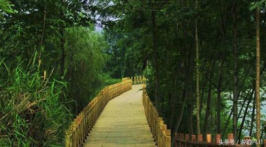 四川的小众旅行攻略,成都温江区旅游攻略来了