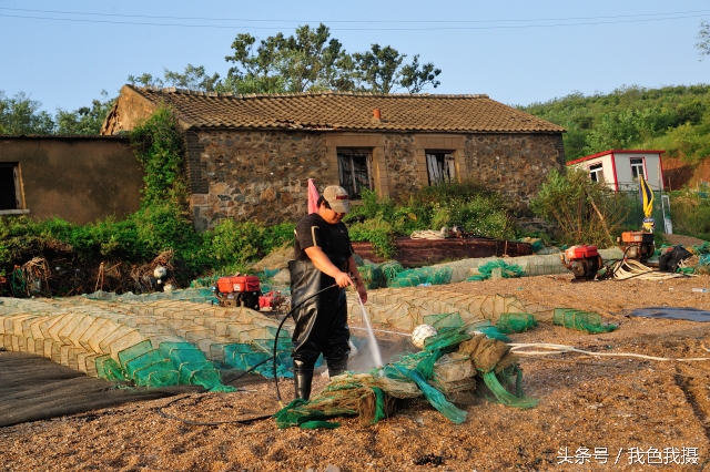 澶ц繛绾㈠矝,澶ц繛甯傞噾宸炲尯绾㈠矝