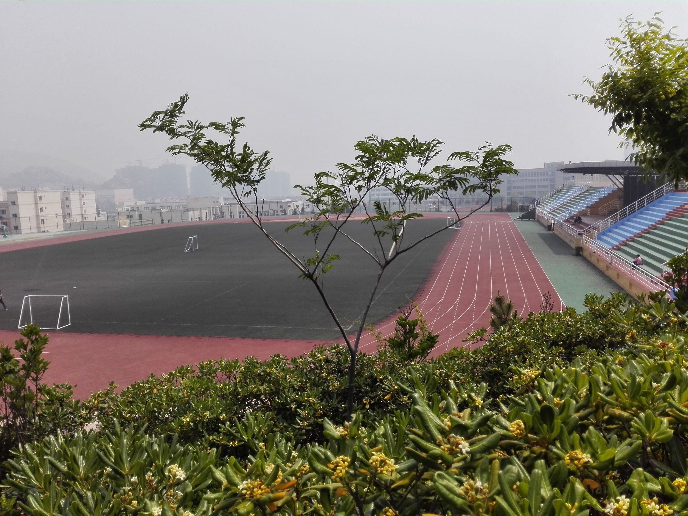 青岛有哪些免费的足球场,青岛足球场有什么比赛