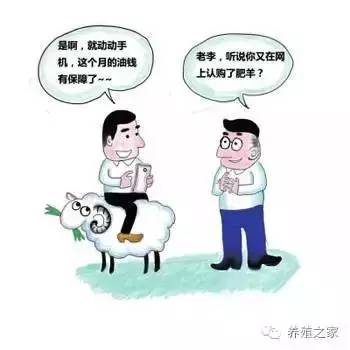 还在犹豫上不上羊？看看某人养羊的经验分享吧！