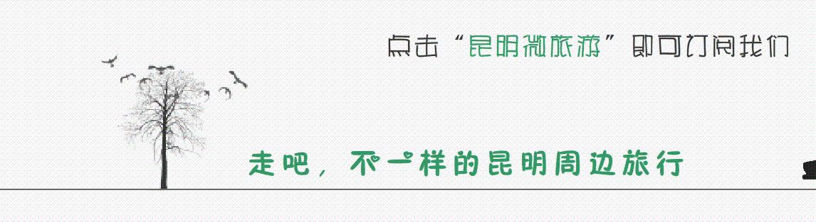 如果是这样的客栈,你想怎么睡我都要得