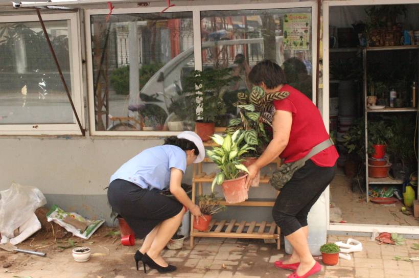 衡水最漂亮的小镇,十大宜居城市衡水