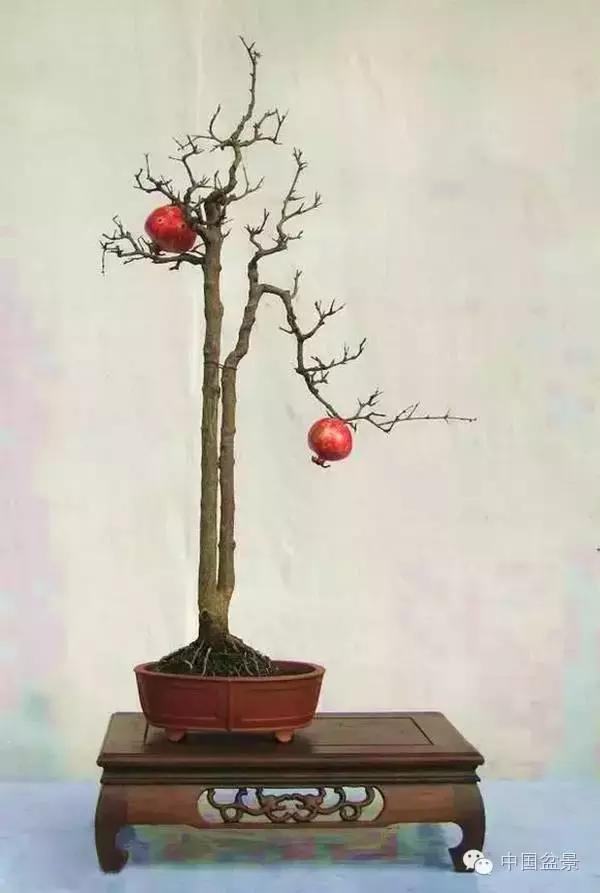 中秋赏桂花吃月饼,中秋佳节吃团圆