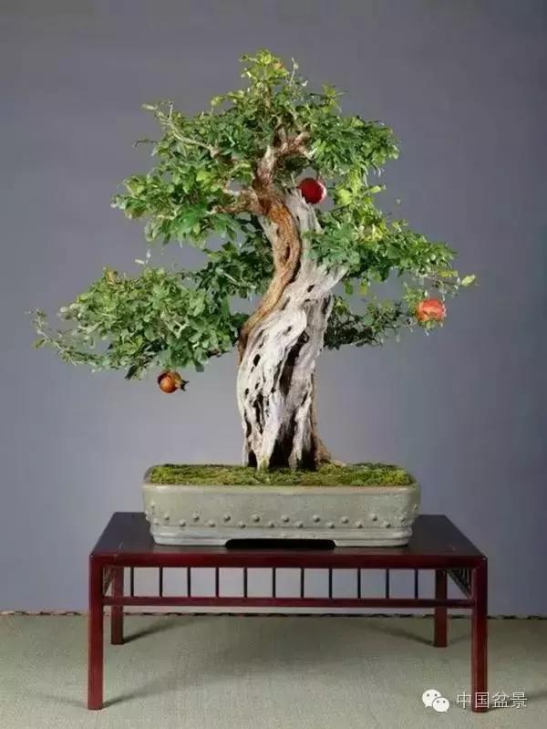 中秋赏桂花吃月饼,中秋佳节吃团圆