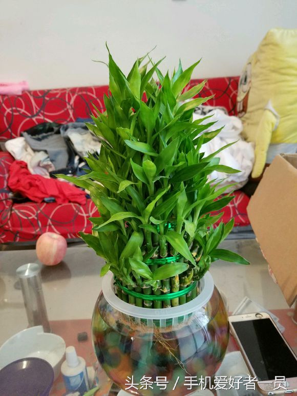 三星note7使用体验,三星note7不开机