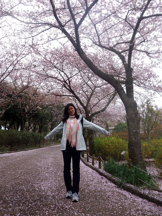 3月济州岛旅游游记,四月的济州岛机票