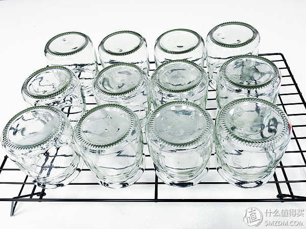 养出一碗好酸奶—12款市面主流品牌酸奶菌种对比测评