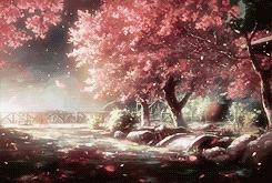 安徽假期去哪玩便宜又好玩儿,安徽假期哪里好玩