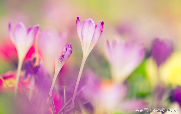 老公屏蔽了我的朋友圈,老公屏蔽我们的朋友圈